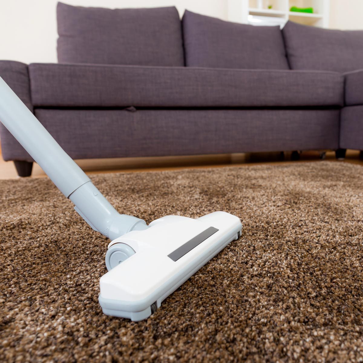 A vacuum cleaner is cleaning a brown carpet in a living room, with a couch visible in the background, creating a tidy environment.