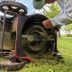 20 Most Common Mistakes People Make with Their Lawn