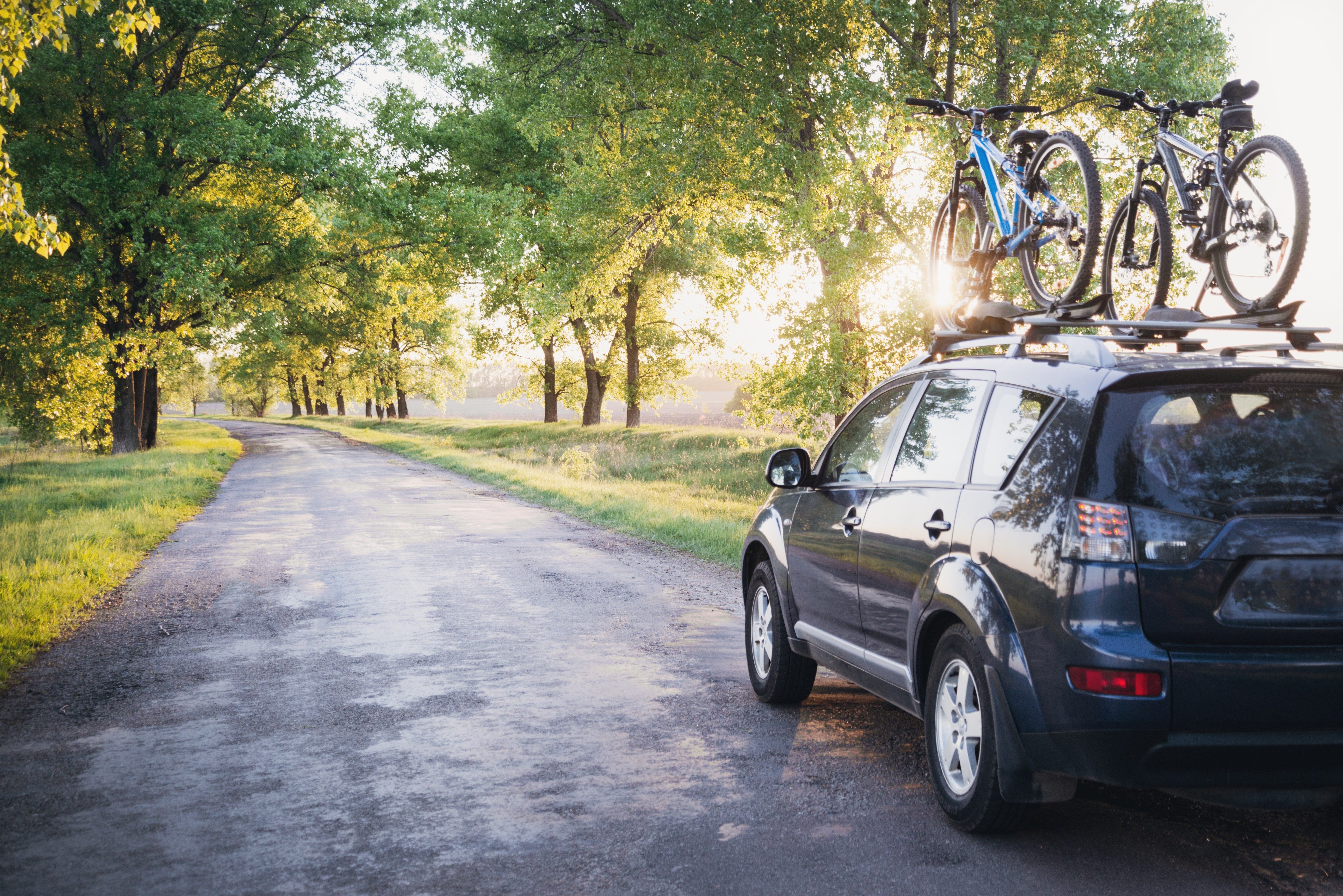 A black SUV parked on a gravel road, with two bicycles secured on the roof rack, surrounded by lush green trees and warm sunlight.