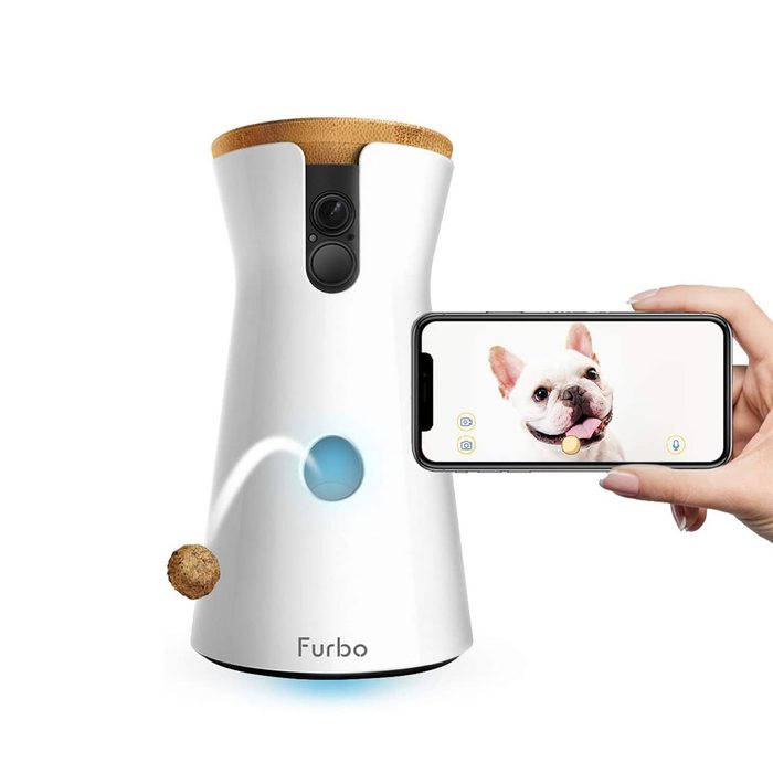 A pet camera dispenses treats from its base while a hand holds a smartphone displaying a happy dog’s face, set against a plain white background.