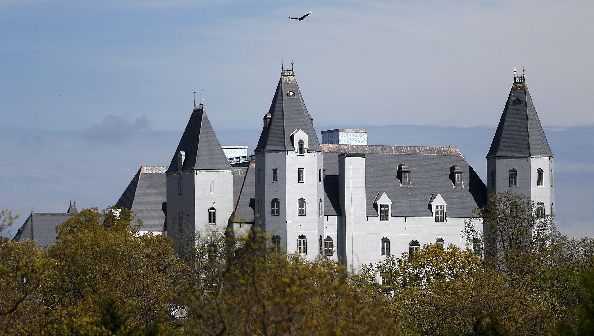 A castle with gray rooftops stands amid leafy trees, while a bird soars above against a backdrop of blue sky and distant clouds.