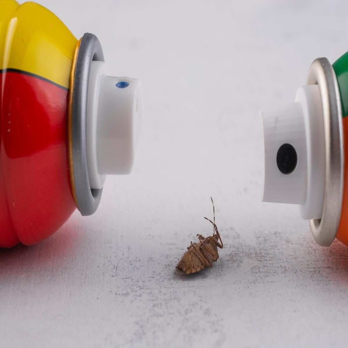 Two colorful spray cans flank a small, dead insect lying on a light surface, creating a stark contrast between the vibrant colors and the muted background.