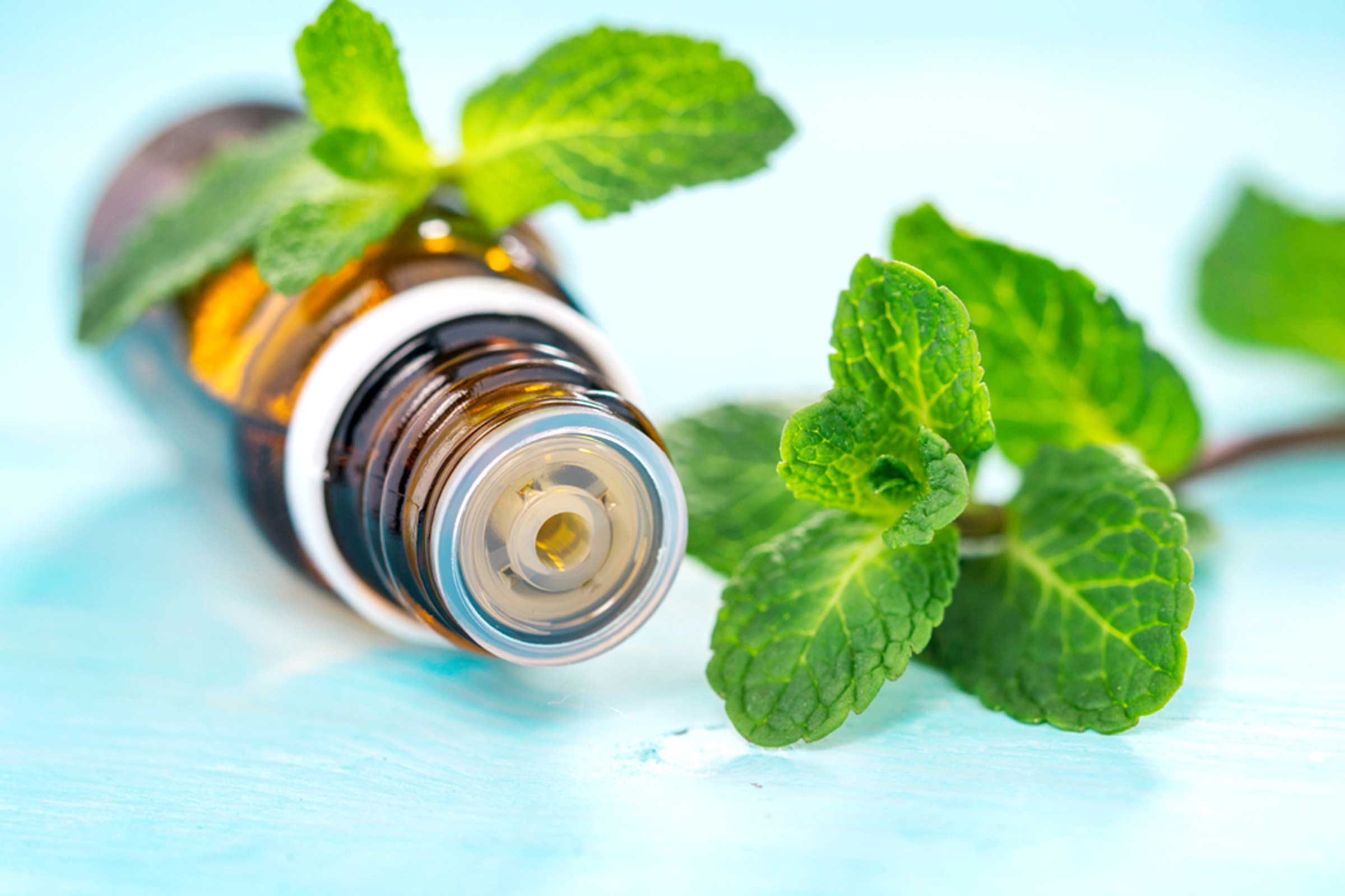 essential oil bottle on its side with mint leaves on a light blue surface