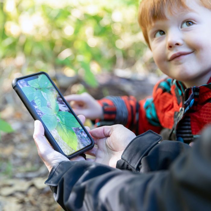 Family Looking At Weeds
