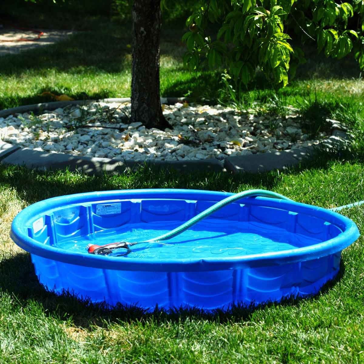 A blue inflatable pool sits on green grass, filled with water and connected to a hose, under the shade of a nearby tree.