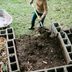 What to Know About Composting