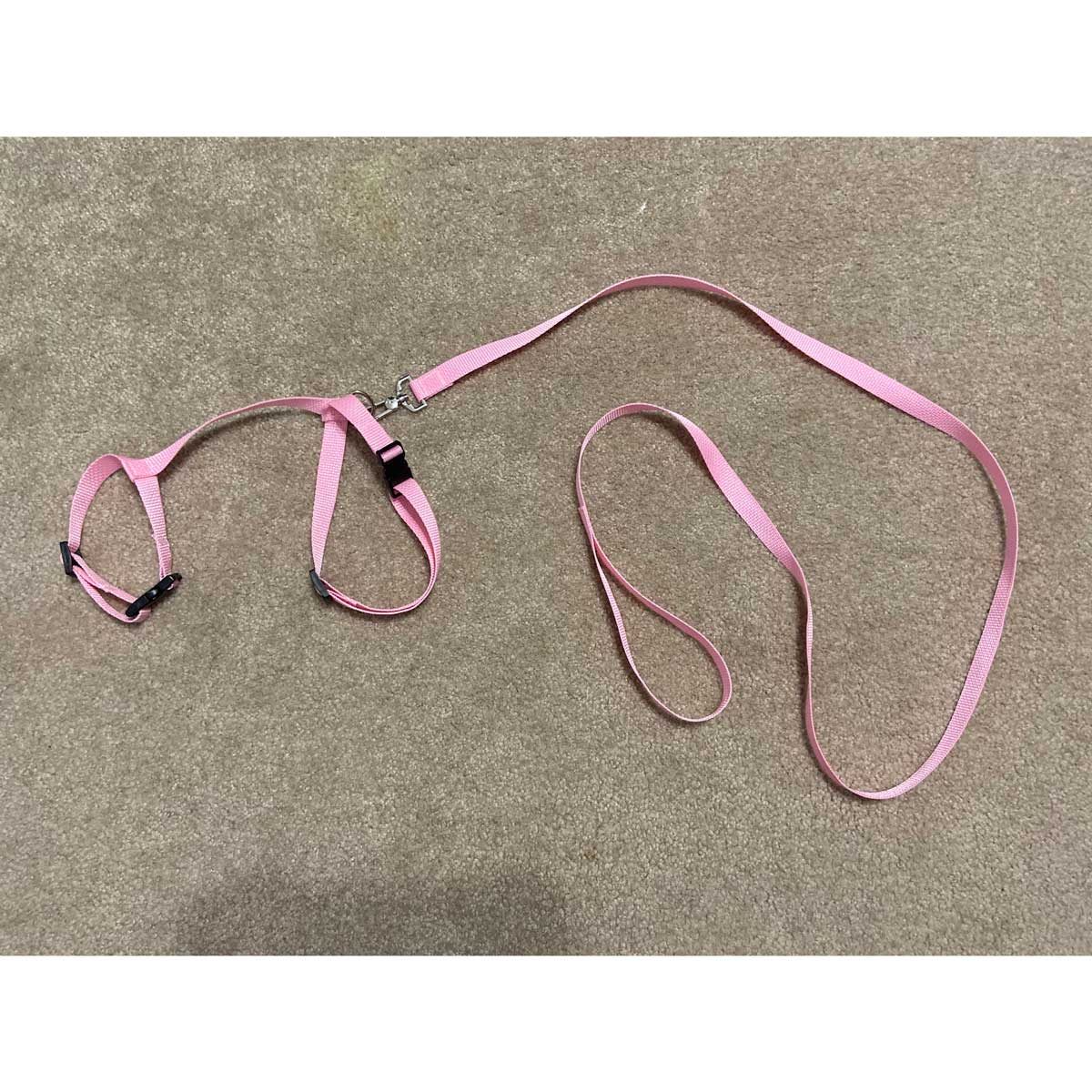 Completed cat harness and leash