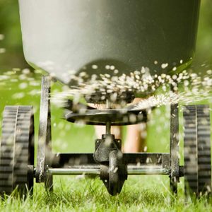 A spreader releases seeds onto green grass, while two wheels move it forward, facilitating lawn care in a yard.