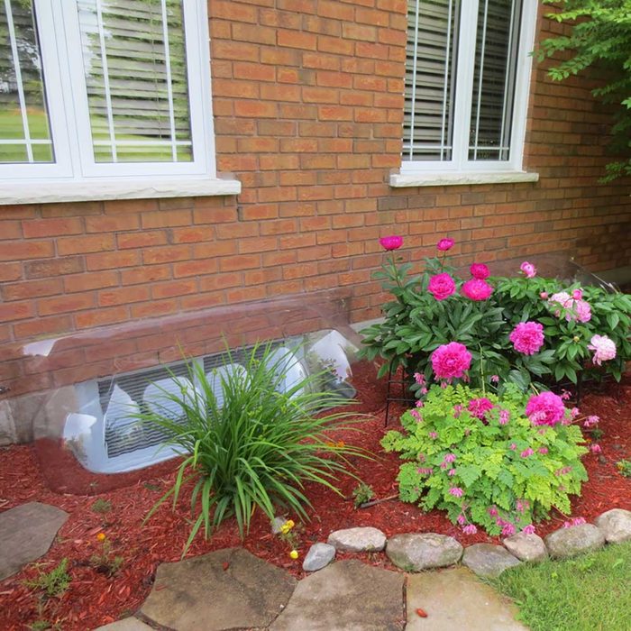 A transparent cover shelters a vent, surrounded by vibrant flowers and green plants in well-mulched garden beds against a brick wall with windows.