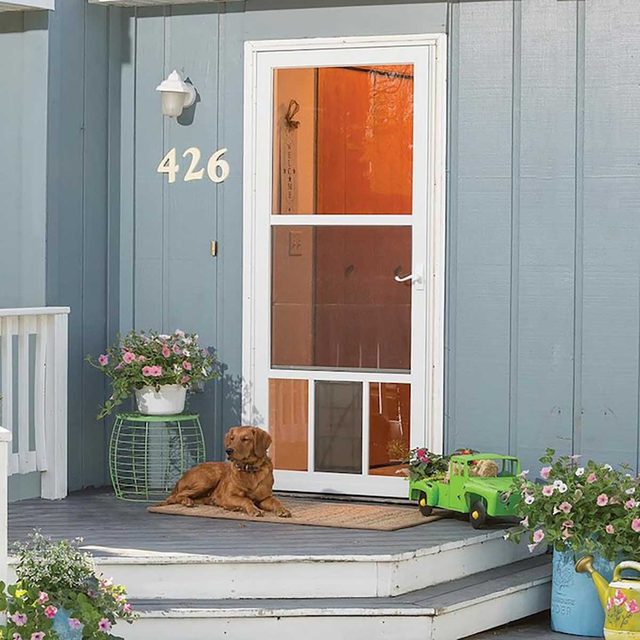 A golden dog lies on a mat by a front door, surrounded by flower pots and a toy truck on a wooden porch.