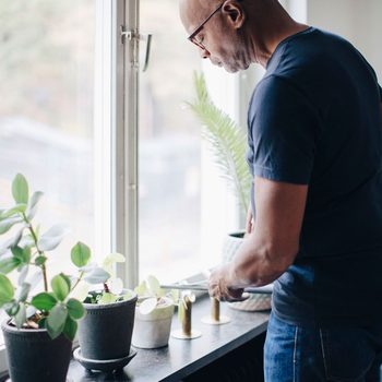 A man trims indoor plants by a sunny window, surrounded by various pots on a dark surface, creating a serene and nurturing atmosphere.