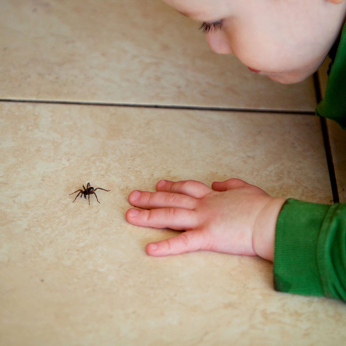 A small spider crawls on a light-colored tile floor, while a child's hand reaches toward it, and the child leans in curiously from above.