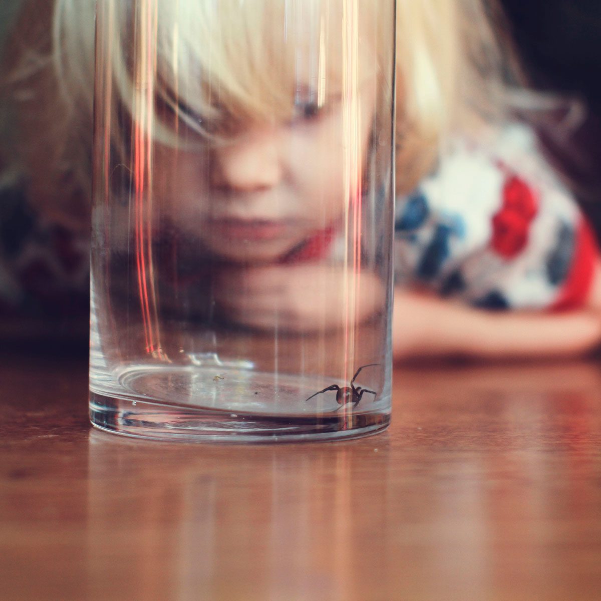 A child peers intently at a spider trapped inside a glass, resting on a wooden surface, as soft light illuminates the scene.