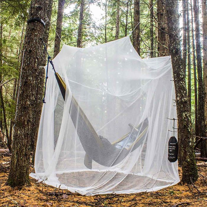 A hammock is suspended within a protective netting, surrounded by tall trees in a forest, creating a cozy resting space amid nature.
