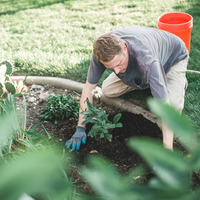 A person kneels while planting a small green plant in rich soil, surrounded by lush grass and various garden plants, with a bright orange bucket nearby.