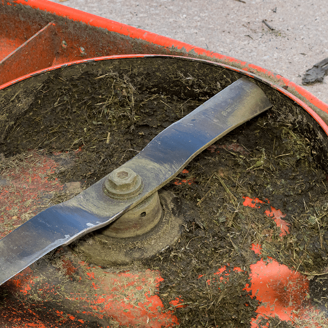 Gettyimages 1293643150