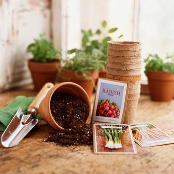 A terracotta pot spills soil next to seed packets for radishes, onions, and carrots, on a wooden table surrounded by green plants in pots.