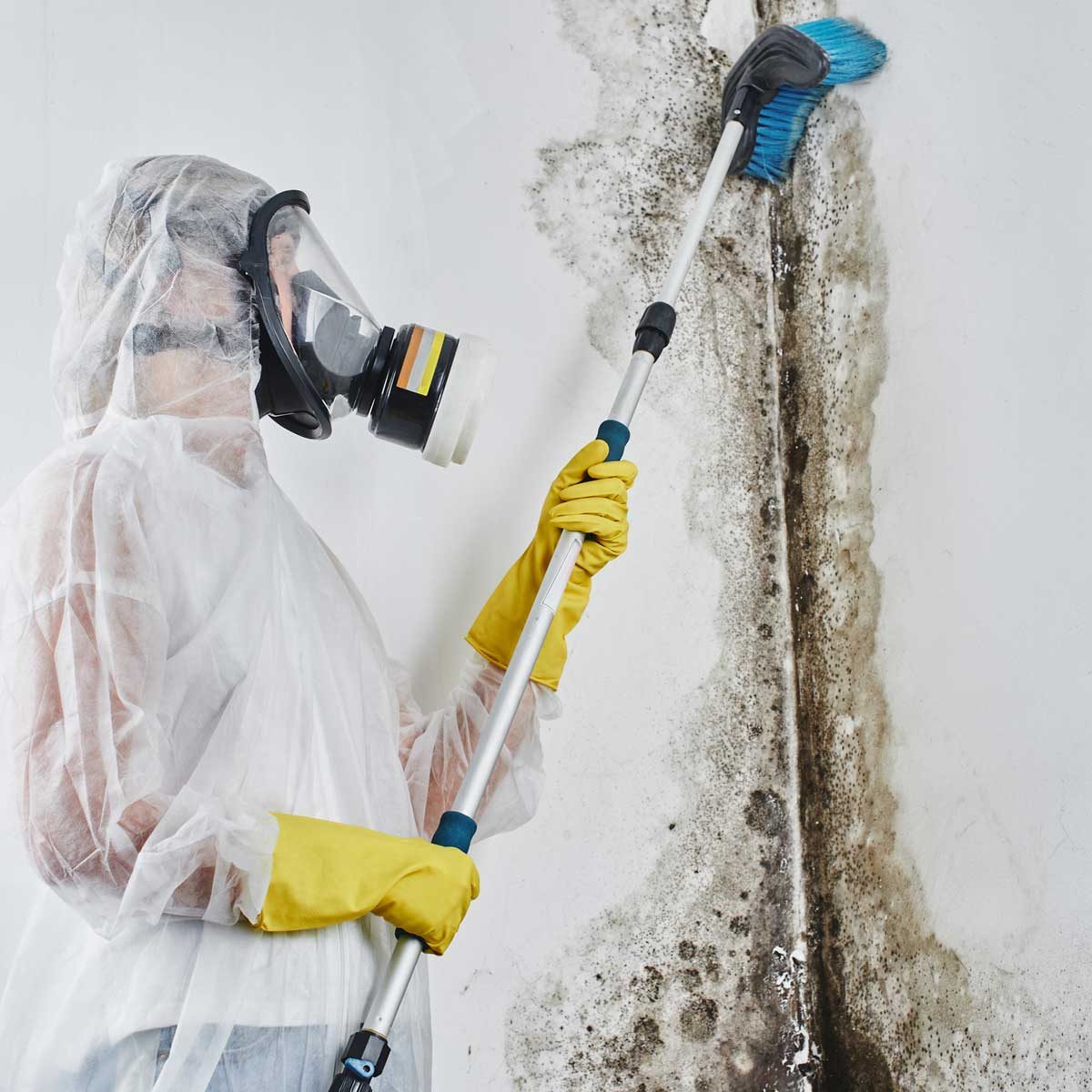 A person in protective gear scrubs mold off a wall, using a brush attached to a long handle in a clean, indoor environment.