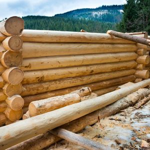Logs are stacked horizontally, with some positioned on the ground. The setting features a forested mountainous background under a cloudy sky.