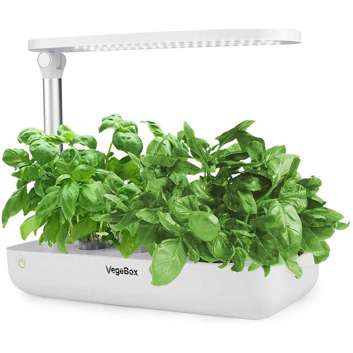 A white indoor planter holds vibrant green basil plants, illuminated by an adjustable LED lamp above, providing a controlled growing environment.