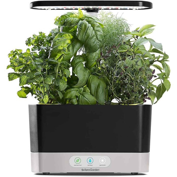 An indoor herb garden features vibrant green plants growing under a bright LED light, contained in a sleek black and silver planter.