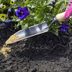 Tips for Fertilizing Flowers With Bone Meal