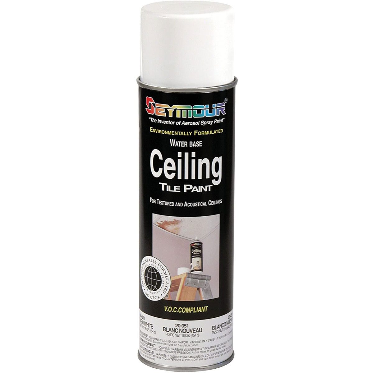 Ceiling Paint