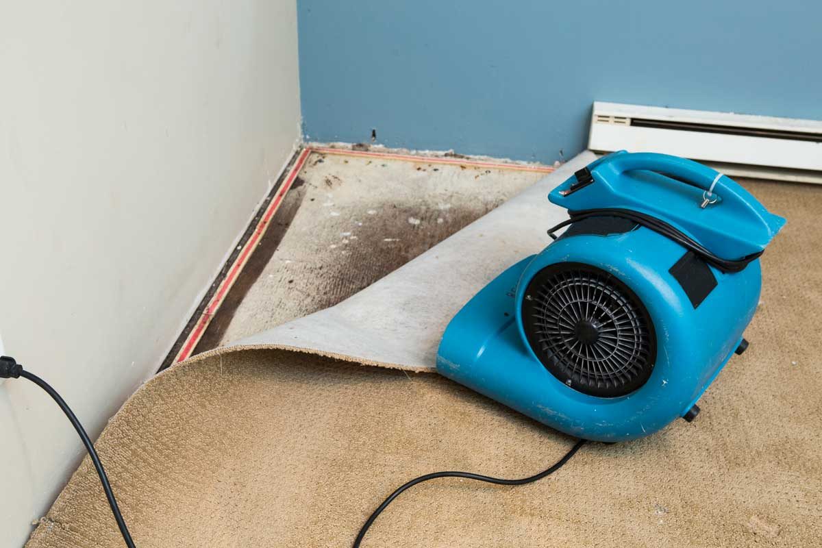 Water Damage Dehumidifier