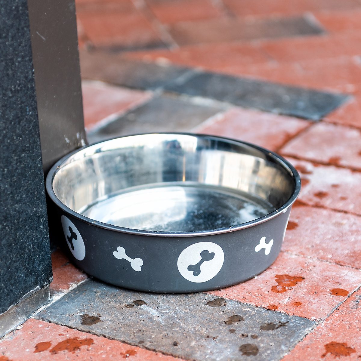 A black dog bowl with bone designs rests on a brick pavement, filled with water, positioned near a vertical surface.