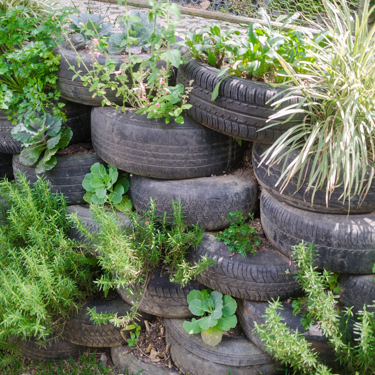 Stacked tires serve as planters, filled with various green plants, surrounded by grass and soil in a garden setting.