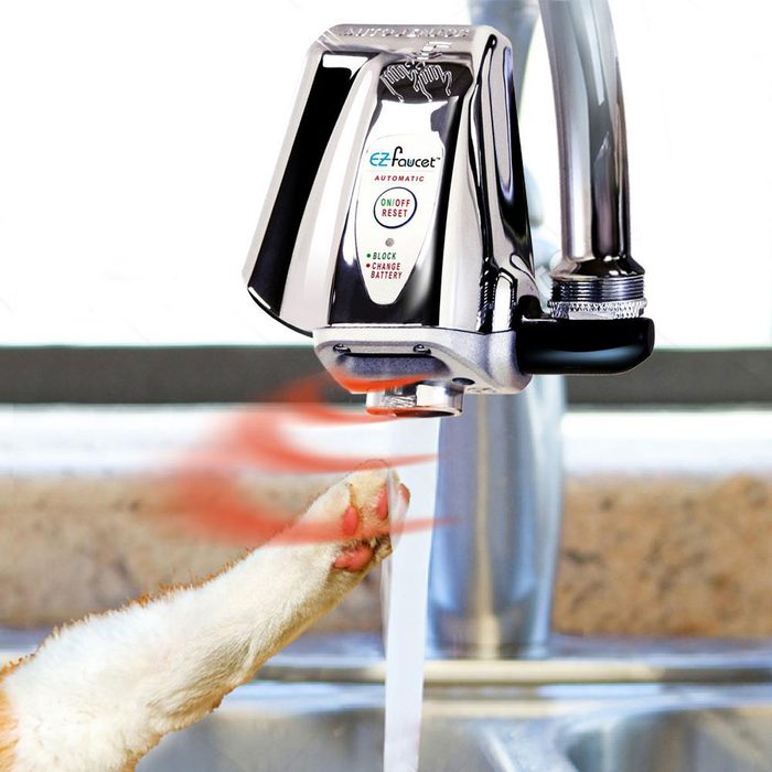 A pet faucet dispenses water as a dog