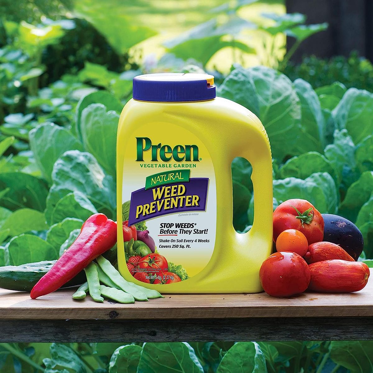 8 Best Weed Killers for Lawn Maintenance Made Easy