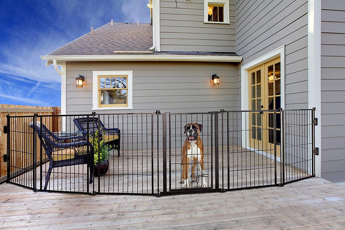 6 Best Dog Gates for the Outdoors