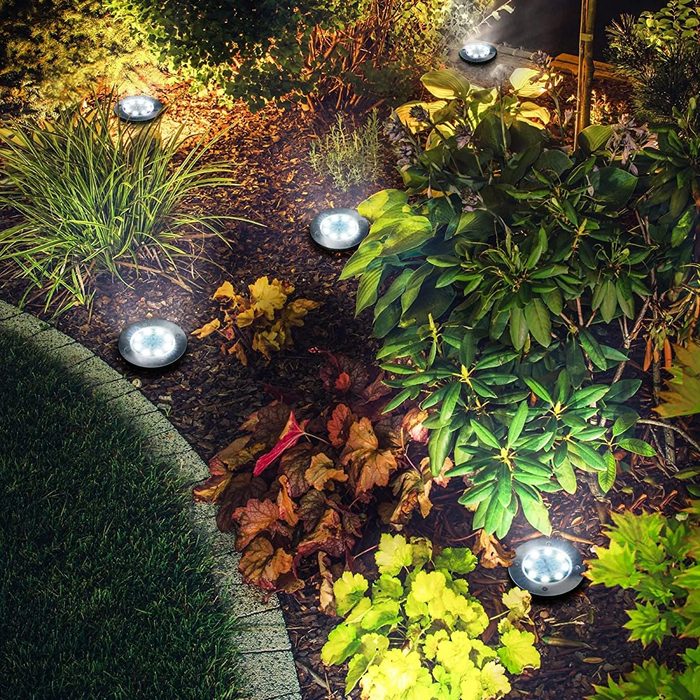 Solar lights illuminate a garden pathway, highlighting vibrant plants and foliage amidst dark mulch, creating a welcoming atmosphere in a landscaped outdoor area.