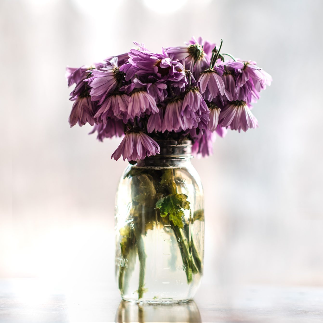A jar holds a bouquet of purple flowers, their stems submerged in water, set against a softly blurred, light-toned background.