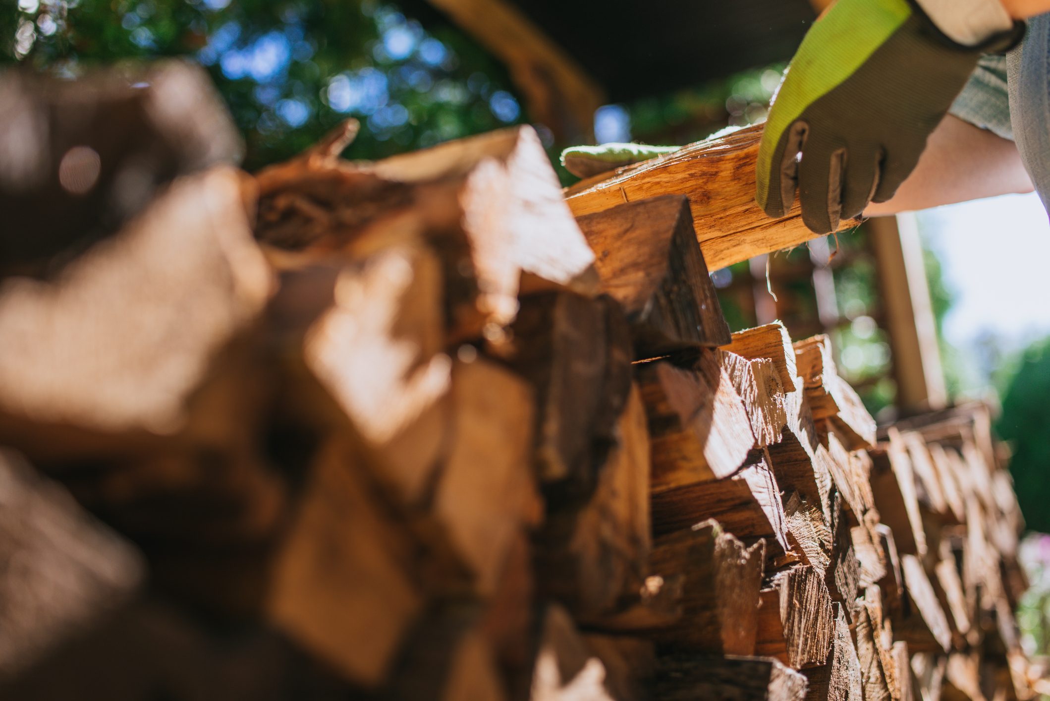 Woman stacking fire wood outdoor.