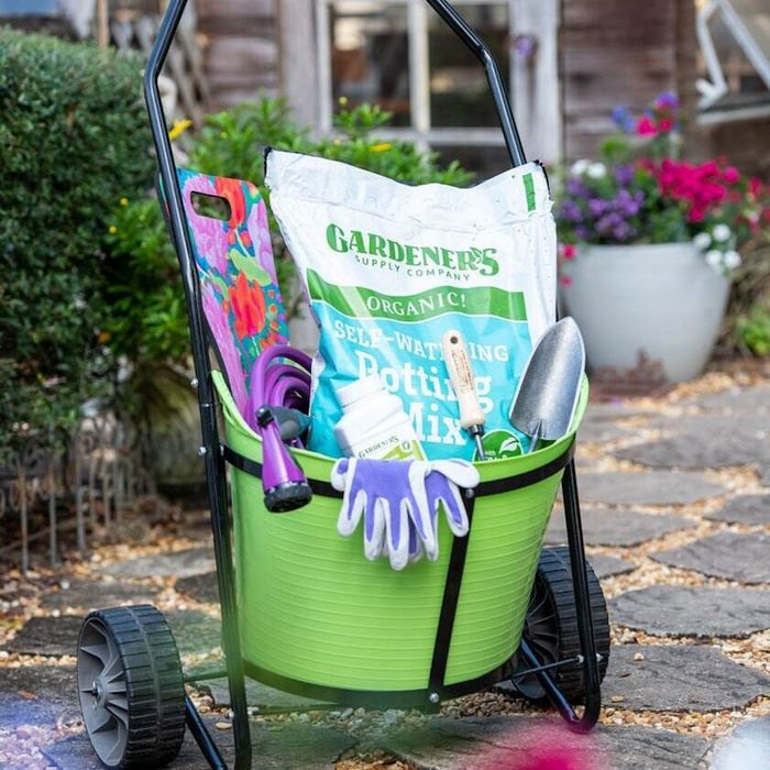A green cart is filled with gardening supplies, including potting mix, gloves, and tools, set against a vibrant garden backdrop.