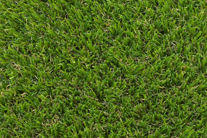 close up of bermuda grass texture