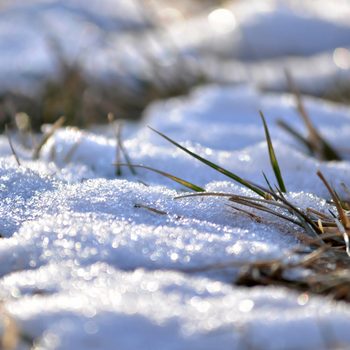 Snow covers scattered patches of grass, glistening in the sunlight, creating a serene winter landscape.