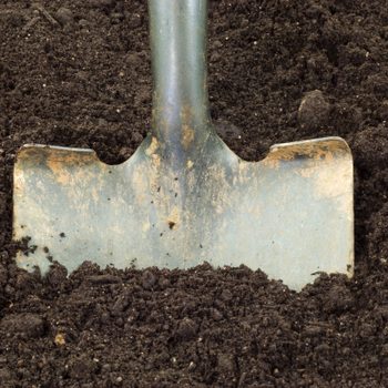 A metal shovel is partially embedded in dark, rich soil, indicating gardening or digging activity in a natural outdoor environment.