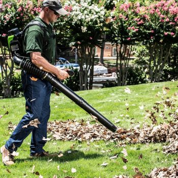 A man uses a leaf blower to clear fallen leaves from a grassy area, surrounded by trees and a residential backdrop.