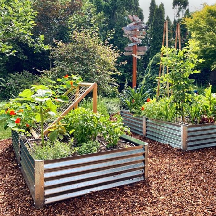 Galvanized Steel Raised Garden Bed Courtesy Metalgardenbeds Instagram
