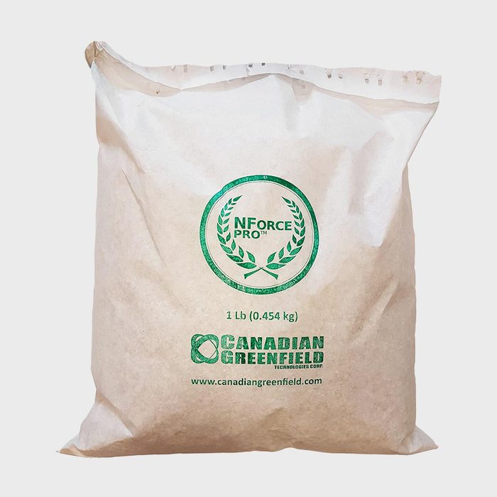 Fhm Ecomm Concrete Fiber Via Amazon.com