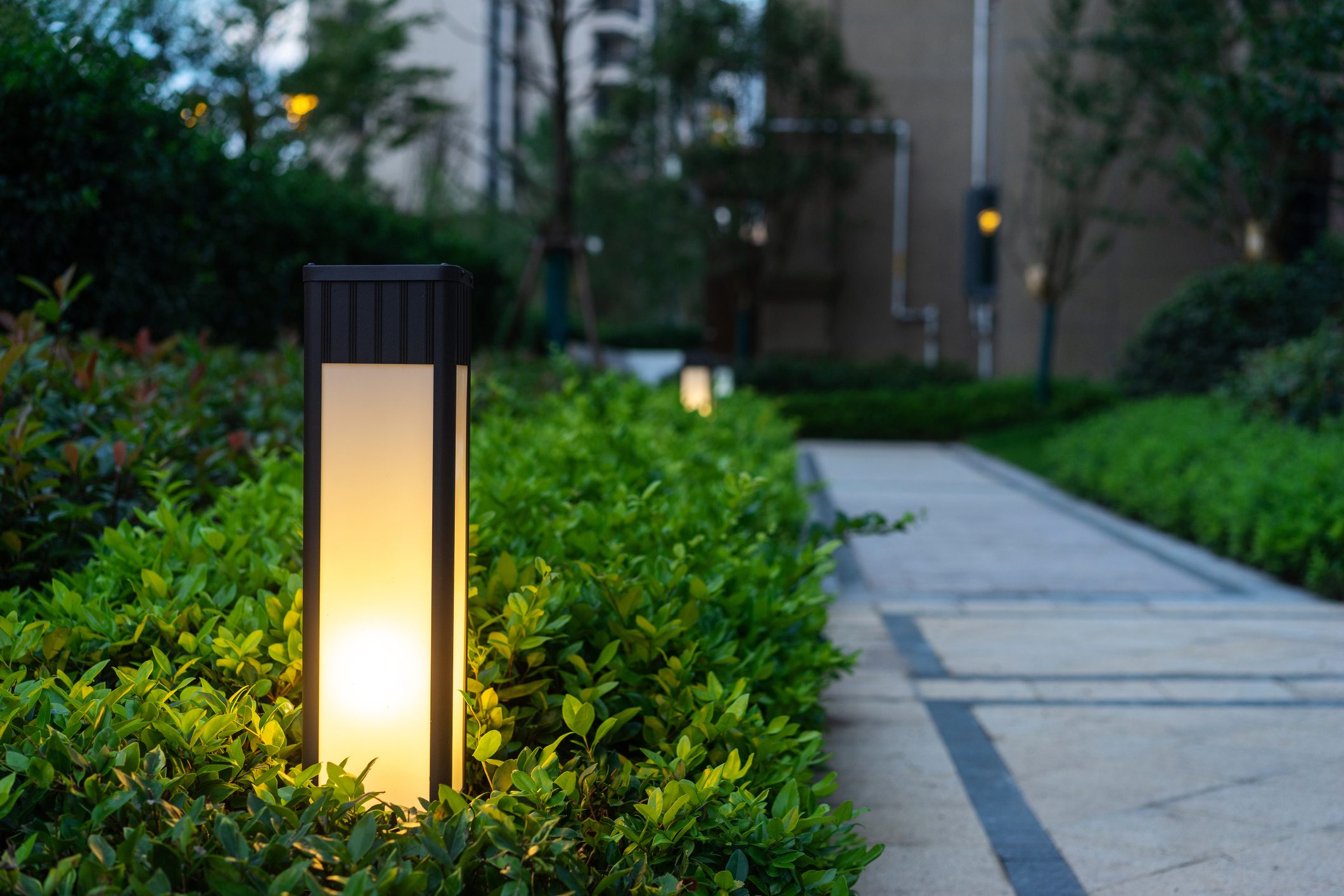 bollard lights in a bush illuminating a pathway