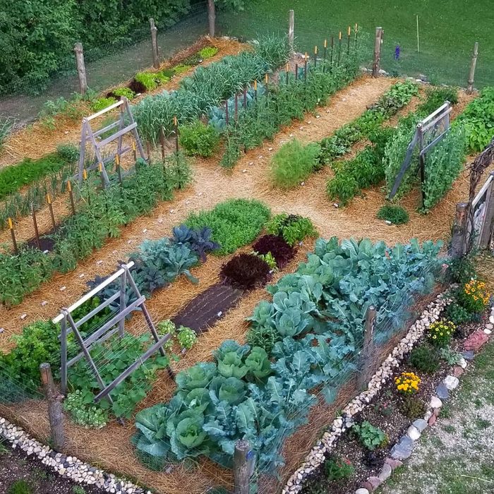A vegetable garden features rows of various green plants and crops, surrounded by straw mulch, with wooden supports in a lush, grassy environment.