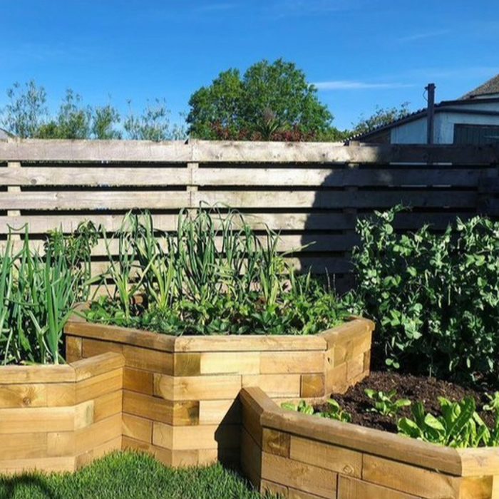 Wooden planters filled with green vegetables thrive under a clear blue sky, surrounded by a wooden fence and greenery in the background.