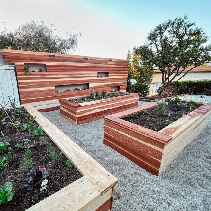 Wooden raised garden beds are filled with plants, set against a wooden wall with niches, in a landscaped area with gravel and greenery.