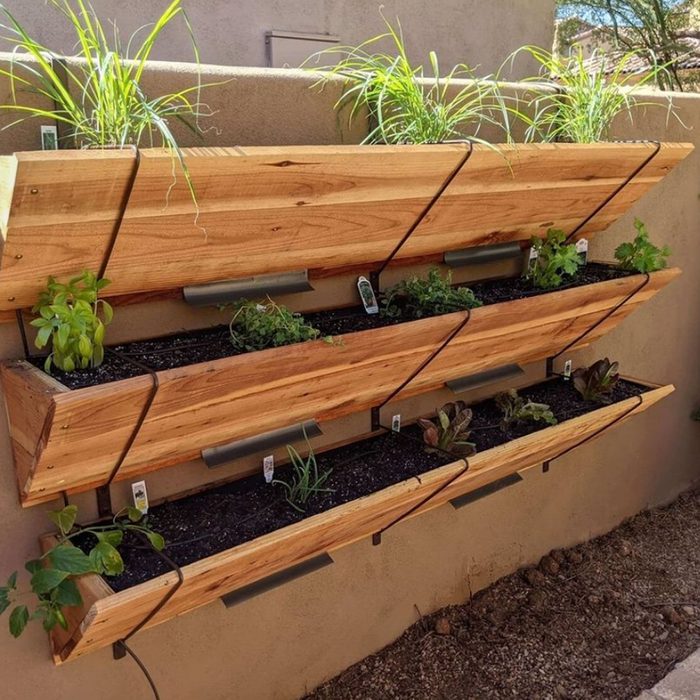 Vertical planter boxes hold various green plants, secured to a wall, with soil visible in each section, surrounded by a light-colored backdrop.