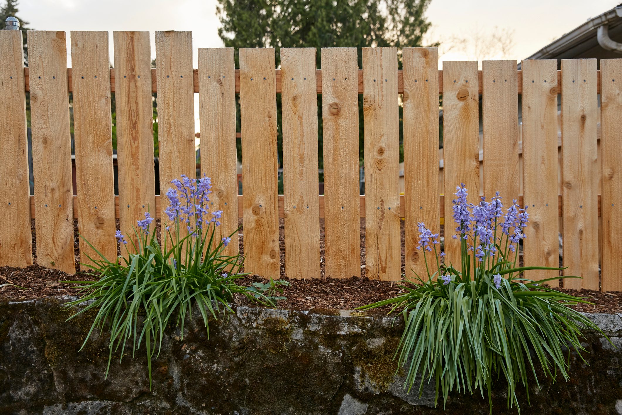Homeowner’s Guide To Different Types of Fences
