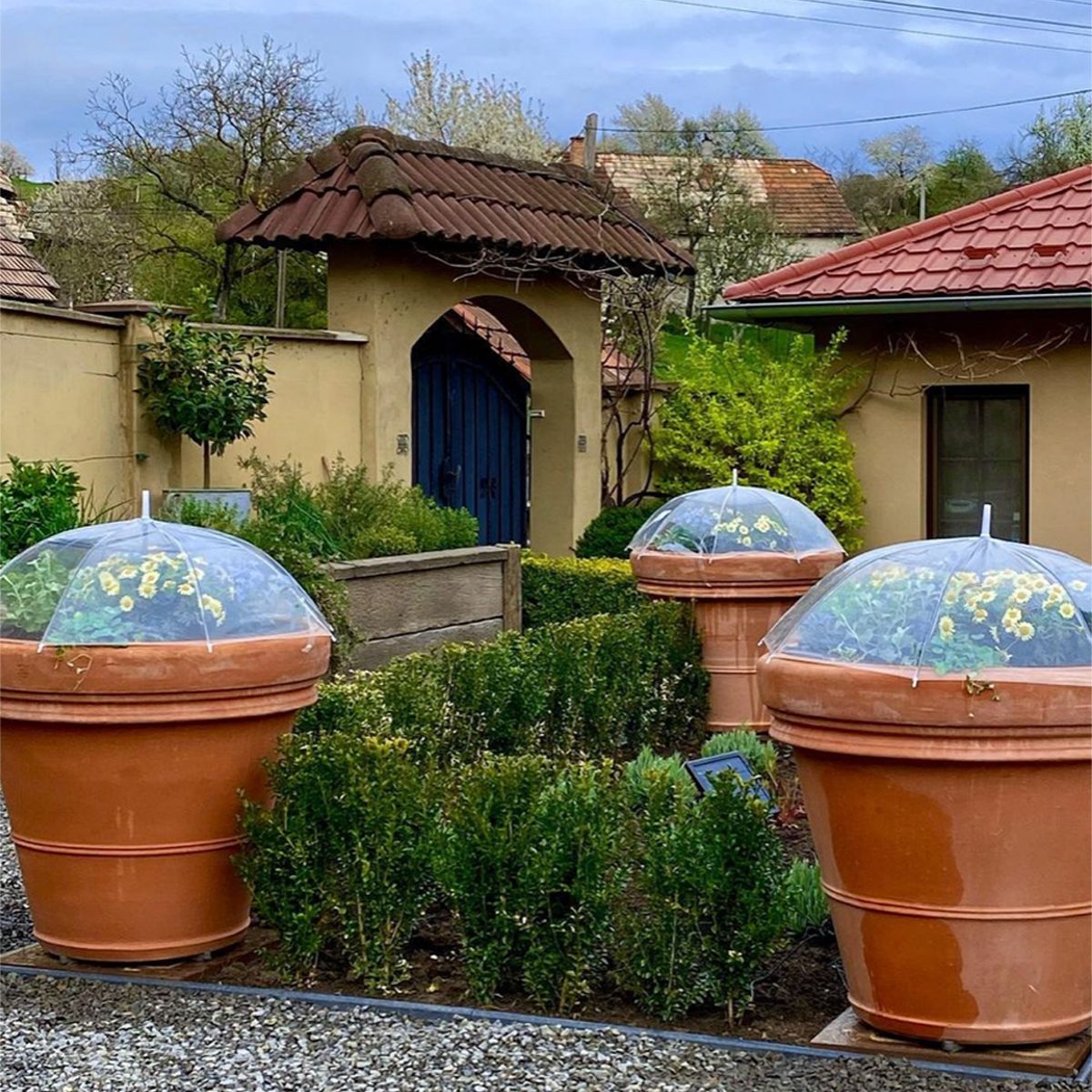 Mini Greenhouse Umbrellas Courtesy @vilalujano Via Instagram